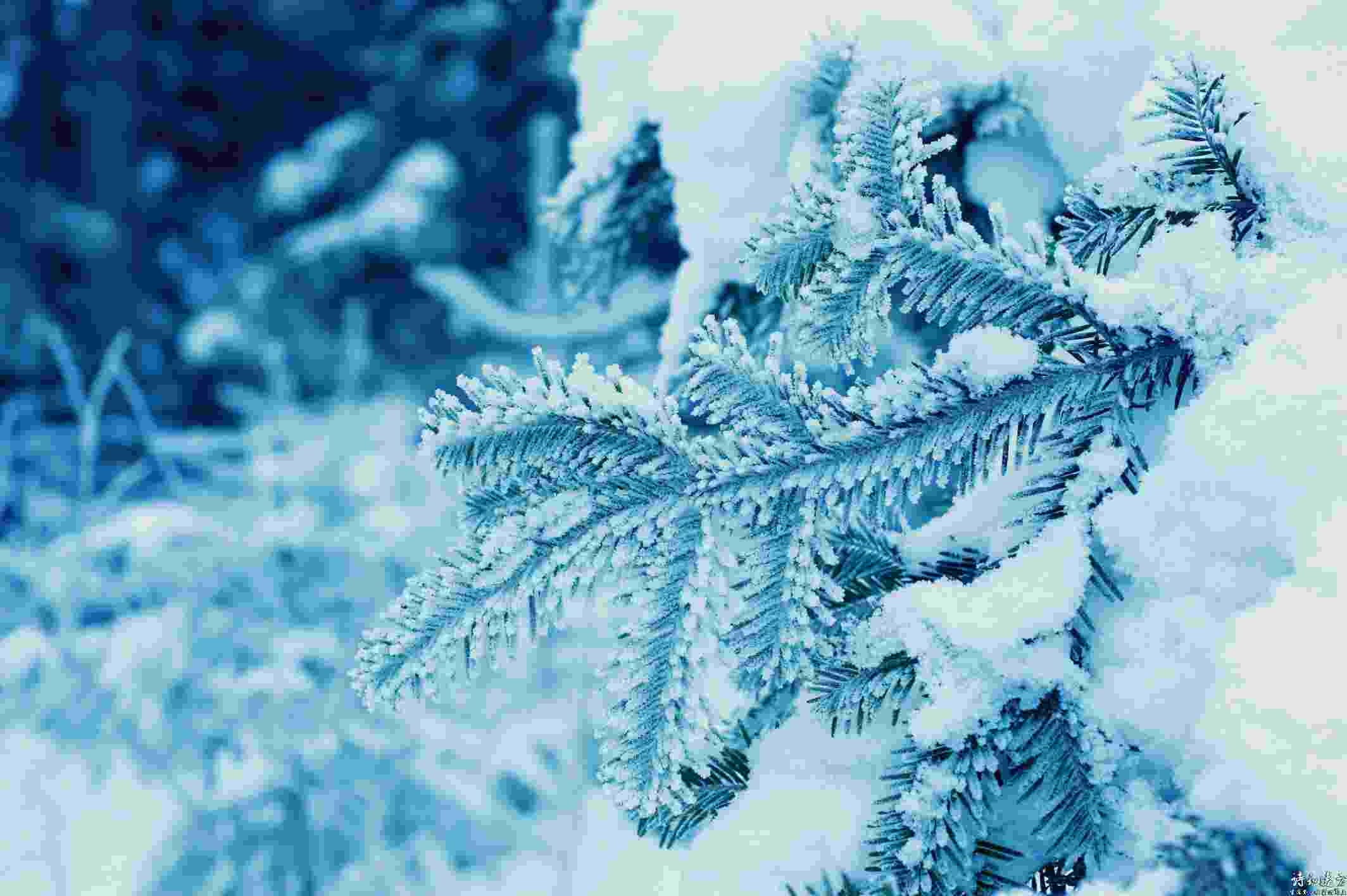 这8首最美的冬至诗词，你知道几首？