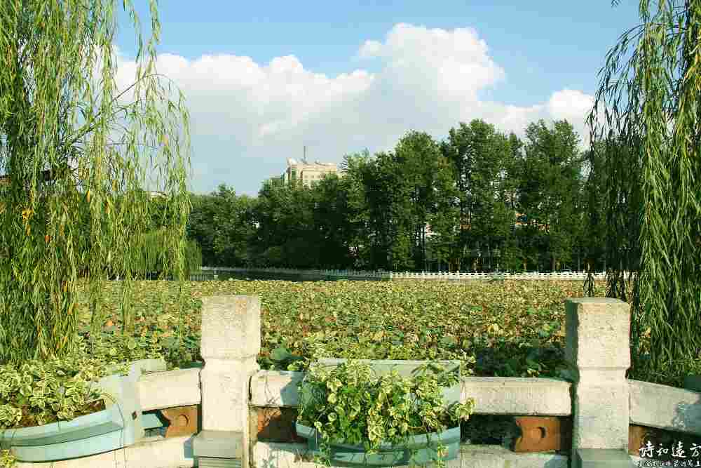 翠湖公园是昆明城内的一颗绿宝石，享有城中之玉的美称