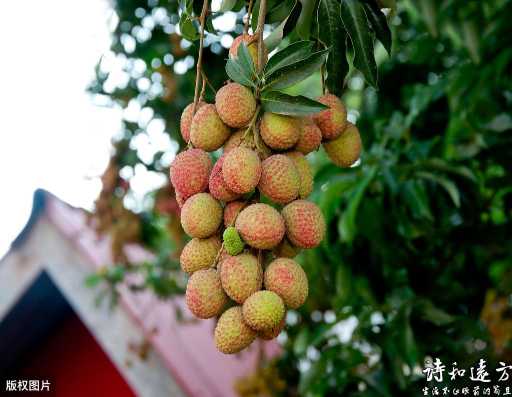 西南酒城泸州：被美食熏陶过的城市，满满都是温暖和幸福