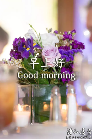 亲爱的早上好，周末愉快！早安心语励志的句子 早安正能量句子