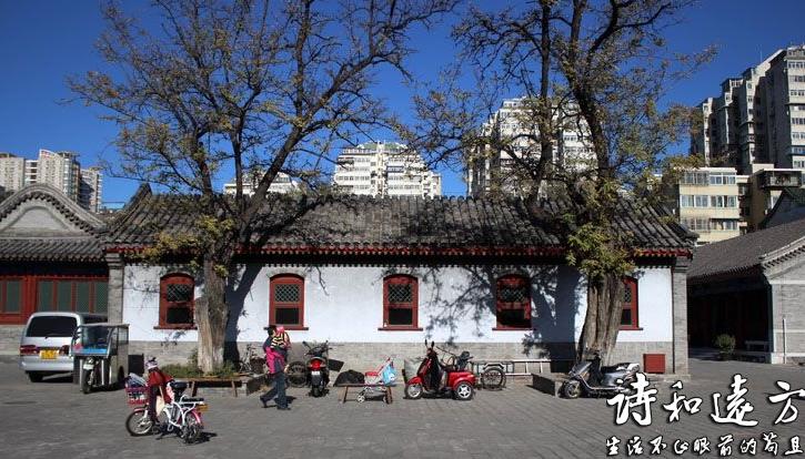 北京“寶藏”的小吃街，品種豐富，物美價廉