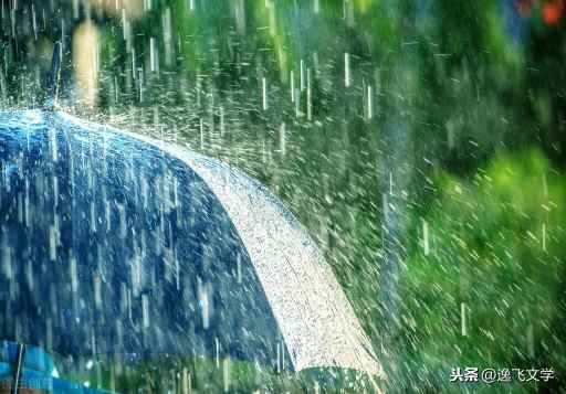 「散文」 夏之雨