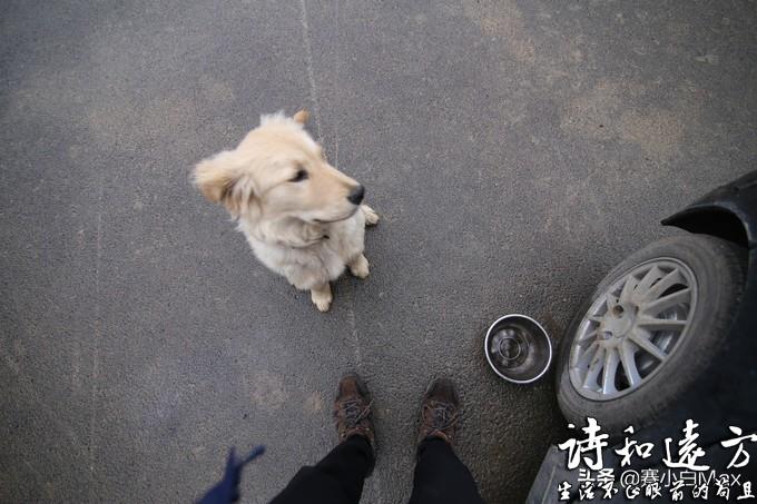 小伙开5手微型车自驾游中国、带一只狗子进藏、你觉得现实吗？