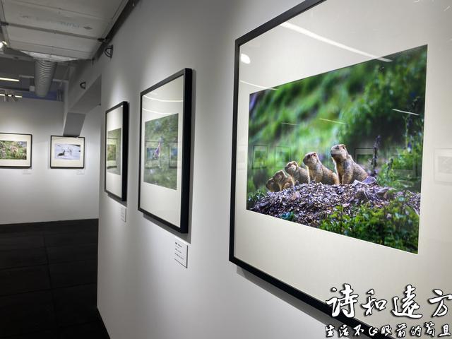 “我从江源来”牧民摄影师成长计划作品展上海站开幕