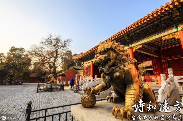 去北京故宫，会玩儿的人都会去珍宝馆，这是为什么？