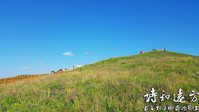 自驾游圣地：贵州毕节阿西里西-天上花海-韭菜坪 花开正当时